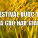 Ấn tượng Festival lúa gạo Việt Nam 2023 tại Hậu Giang